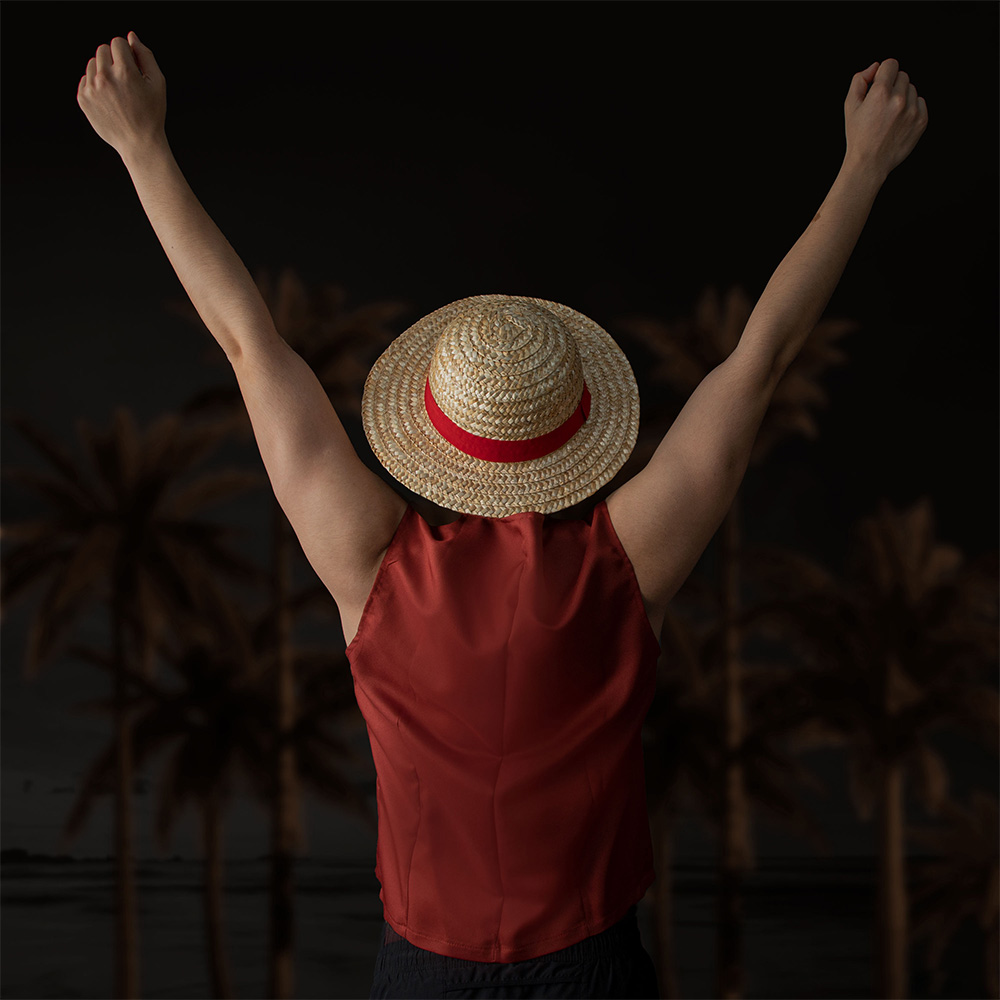 One Piece Officially Licensed  - đánh giá và giá Anime Cosplay Netflix