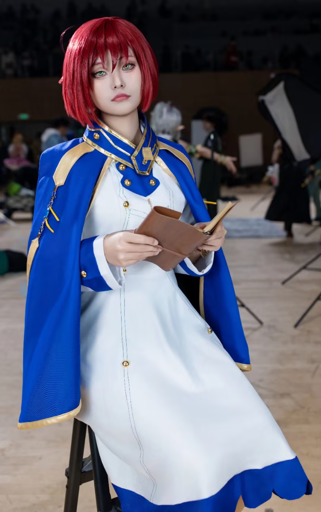 Shirayuki Cosplay Costumes Ani - đánh giá và giá Anime Cosplay With Red Hair